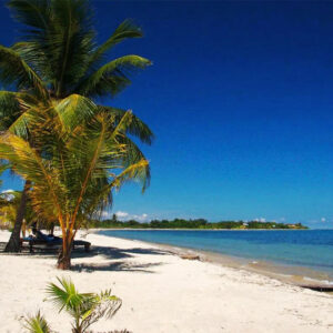 San Ignacio To/From Placencia
